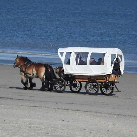 Vakantiehuis De Seekobb -beachgoers